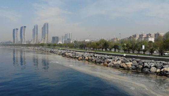 Pendik Sahil Yolu Oflaz: Ticari Alan Zeminlerinde Estetik ve Fonksiyonel Dönüşüm